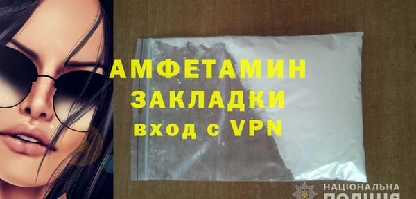 индика Ельня