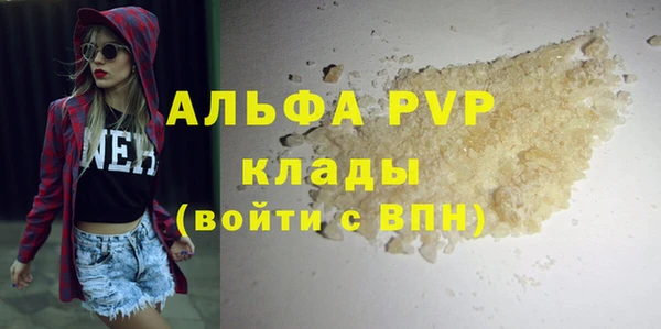 индика Ельня