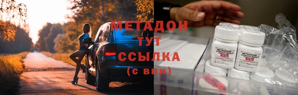 индика Ельня