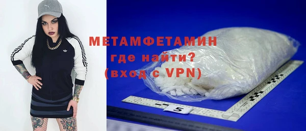 индика Ельня