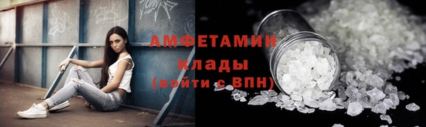 индика Ельня