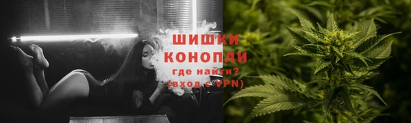 индика Ельня