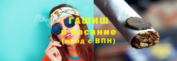 индика Ельня