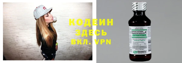 индика Ельня