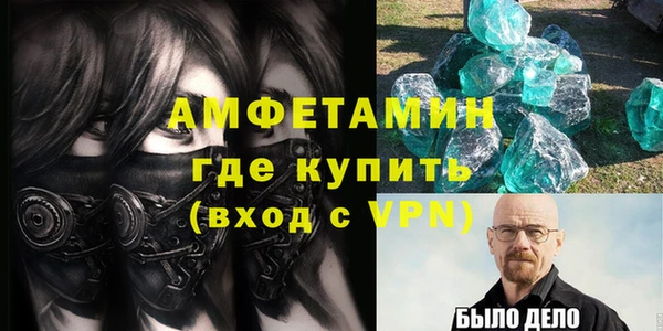 индика Ельня