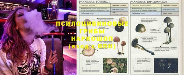 мефедрон Елабуга