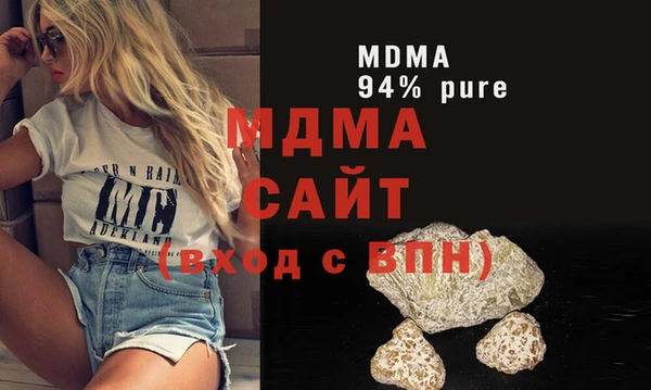 индика Ельня