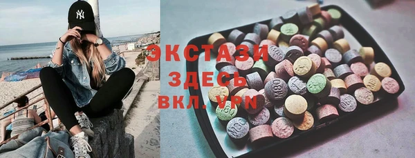 индика Ельня