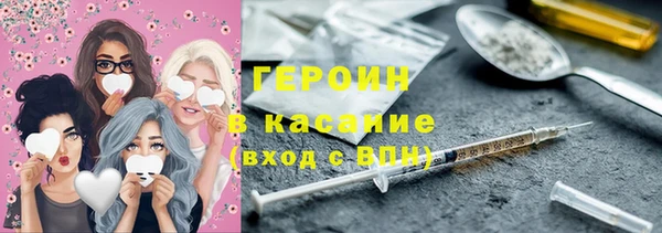 индика Ельня