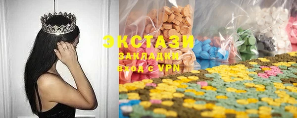 индика Ельня
