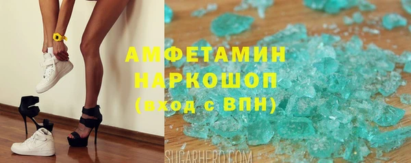 индика Ельня