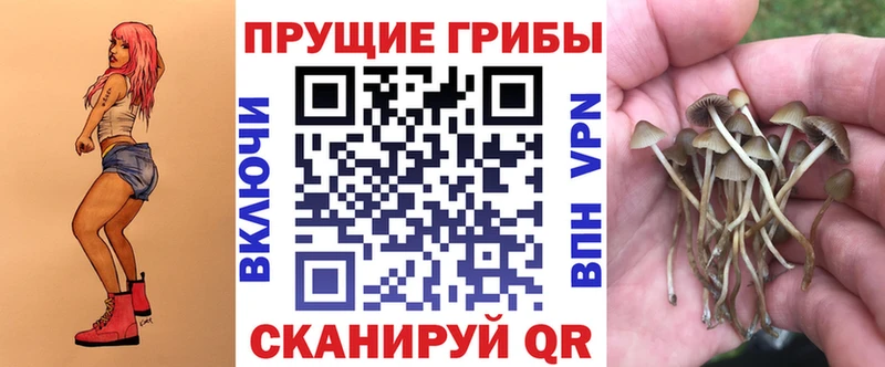 Купить где  Константиновск  Галлюциногенные грибы Psilocybine cubensis 
