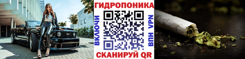 Купить закладки  Константиновск  Шишки марихуана гибрид 